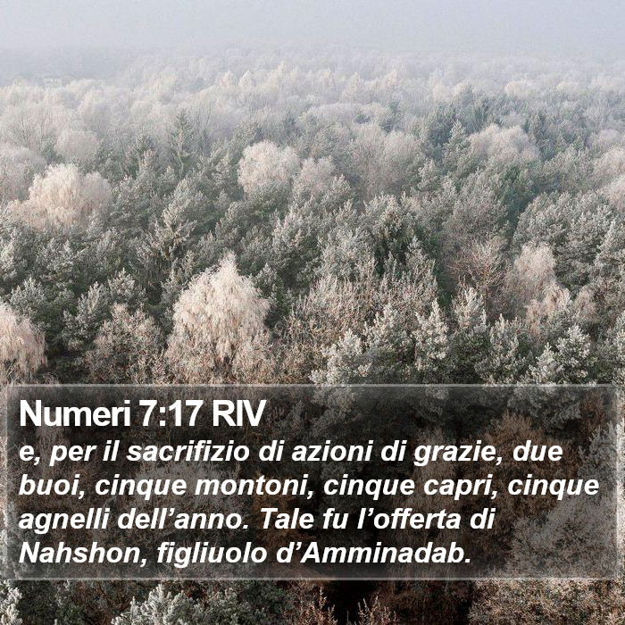 Numeri 7:17 RIV Bible Study