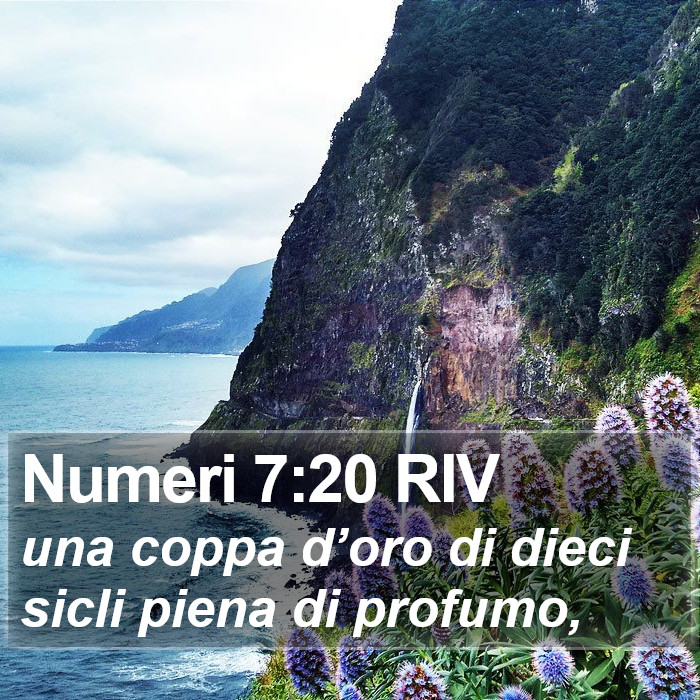 Numeri 7:20 RIV Bible Study