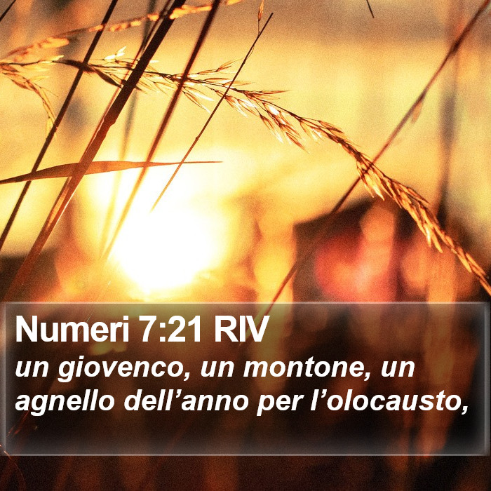 Numeri 7:21 RIV Bible Study