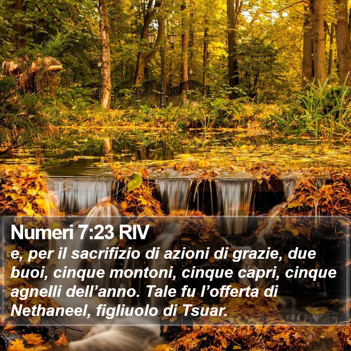 Numeri 7:23 RIV Bible Study