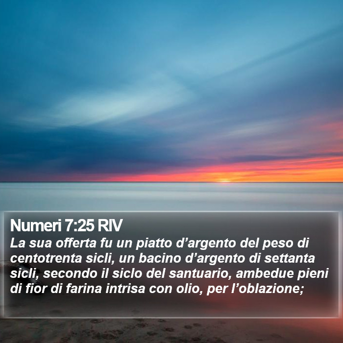 Numeri 7:25 RIV Bible Study