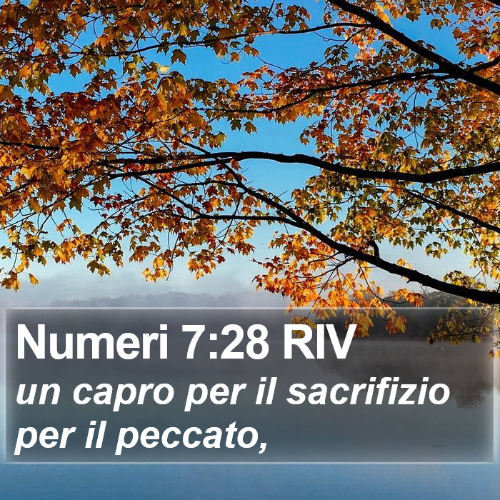 Numeri 7:28 RIV Bible Study