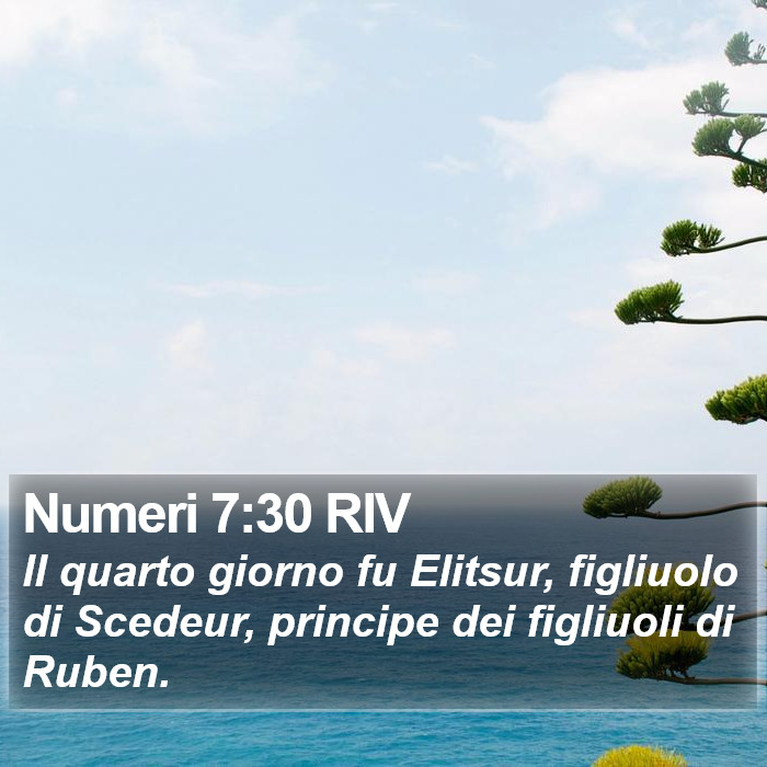 Numeri 7:30 RIV Bible Study