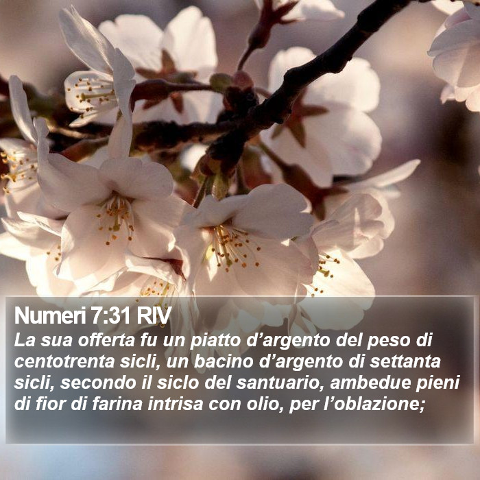 Numeri 7:31 RIV Bible Study