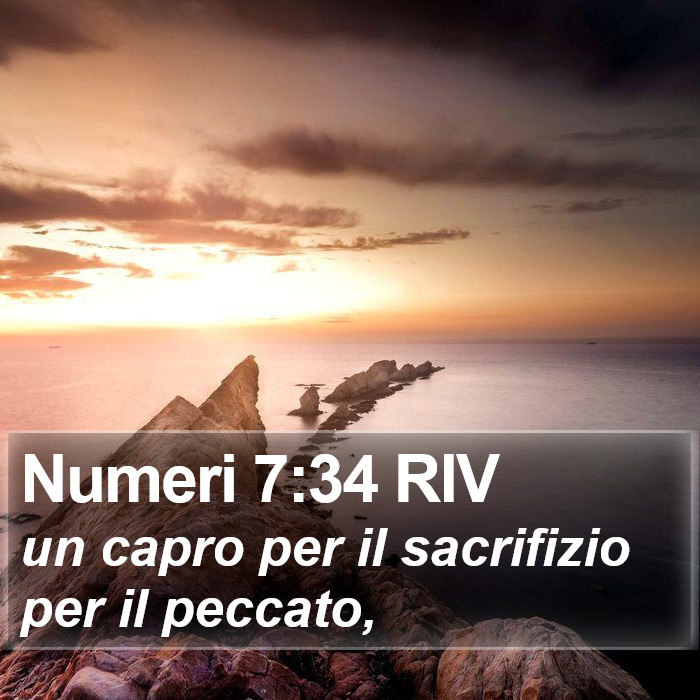 Numeri 7:34 RIV Bible Study