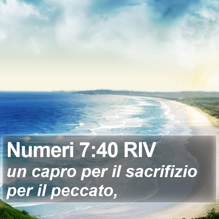 Numeri 7:40 RIV Bible Study