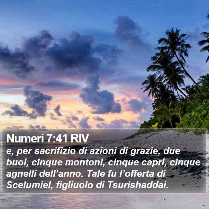 Numeri 7:41 RIV Bible Study