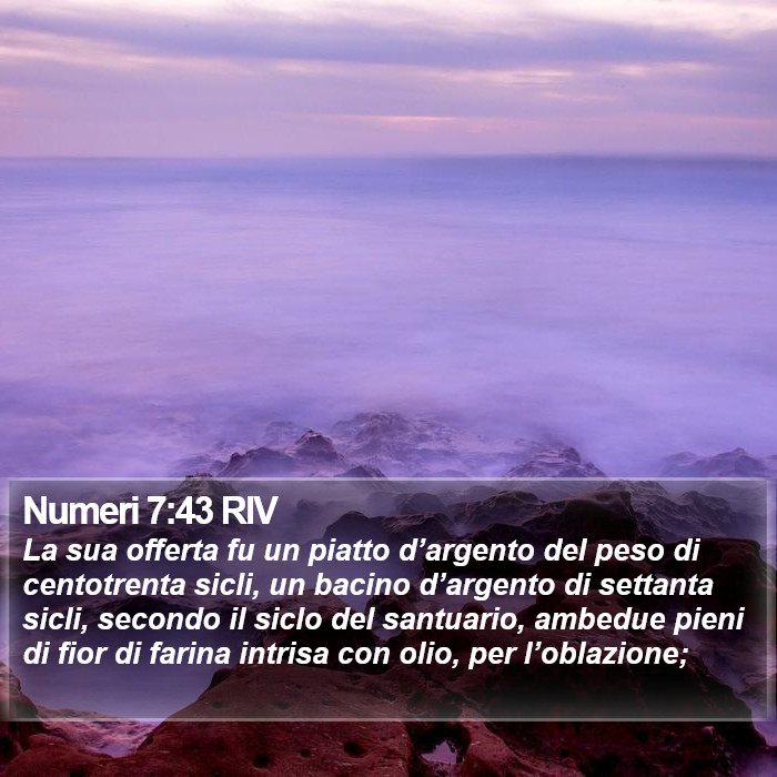 Numeri 7:43 RIV Bible Study