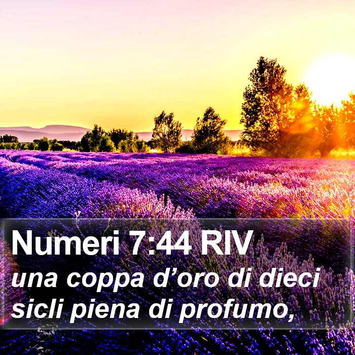 Numeri 7:44 RIV Bible Study