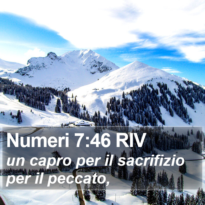 Numeri 7:46 RIV Bible Study