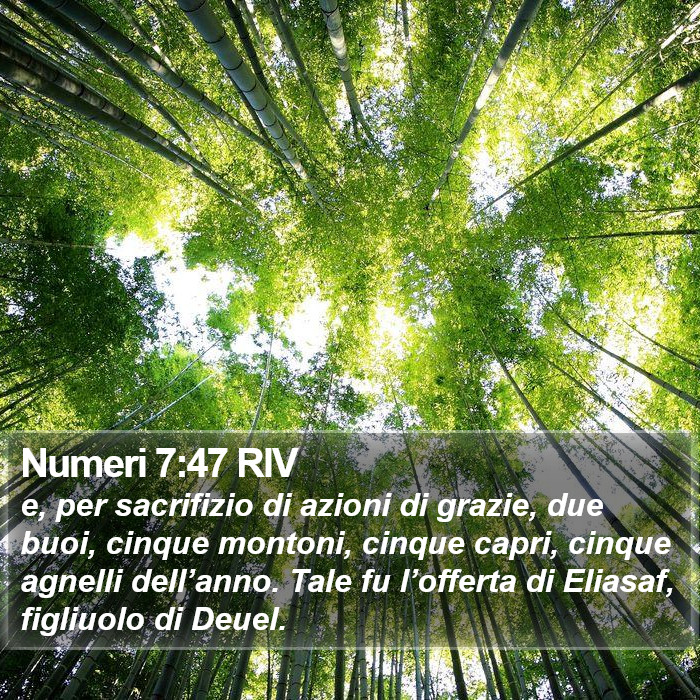 Numeri 7:47 RIV Bible Study