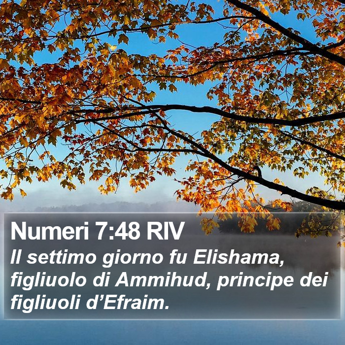 Numeri 7:48 RIV Bible Study