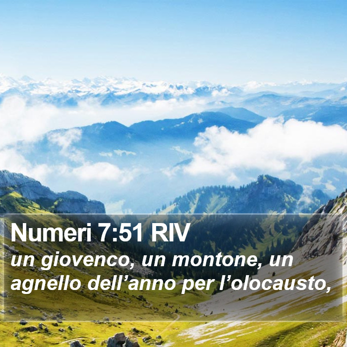 Numeri 7:51 RIV Bible Study