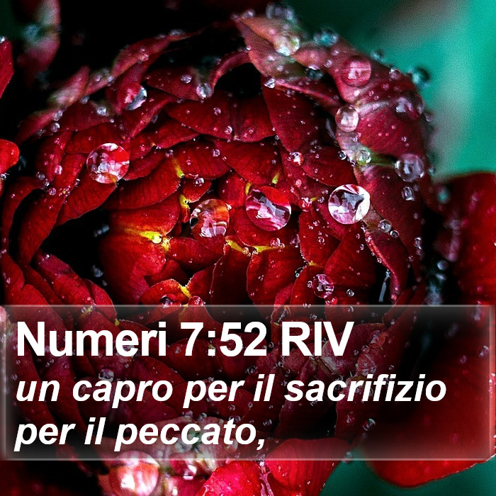 Numeri 7:52 RIV Bible Study