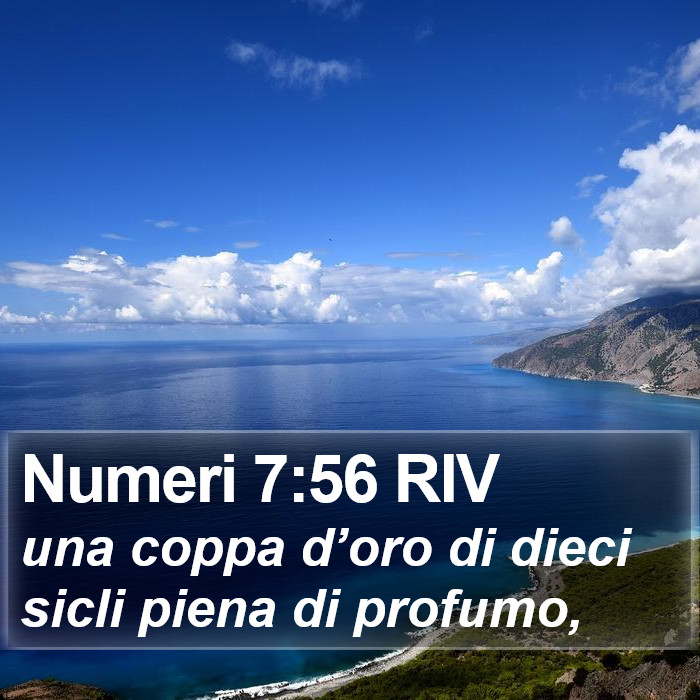 Numeri 7:56 RIV Bible Study