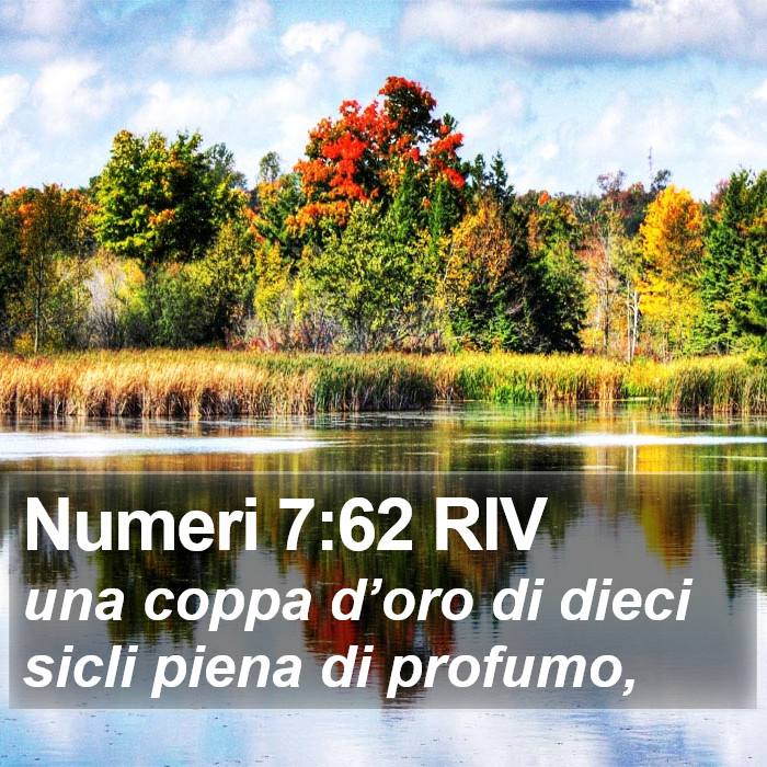 Numeri 7:62 RIV Bible Study