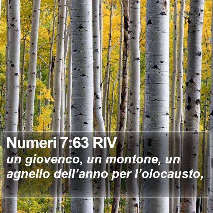 Numeri 7:63 RIV Bible Study