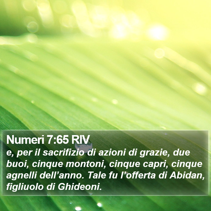 Numeri 7:65 RIV Bible Study