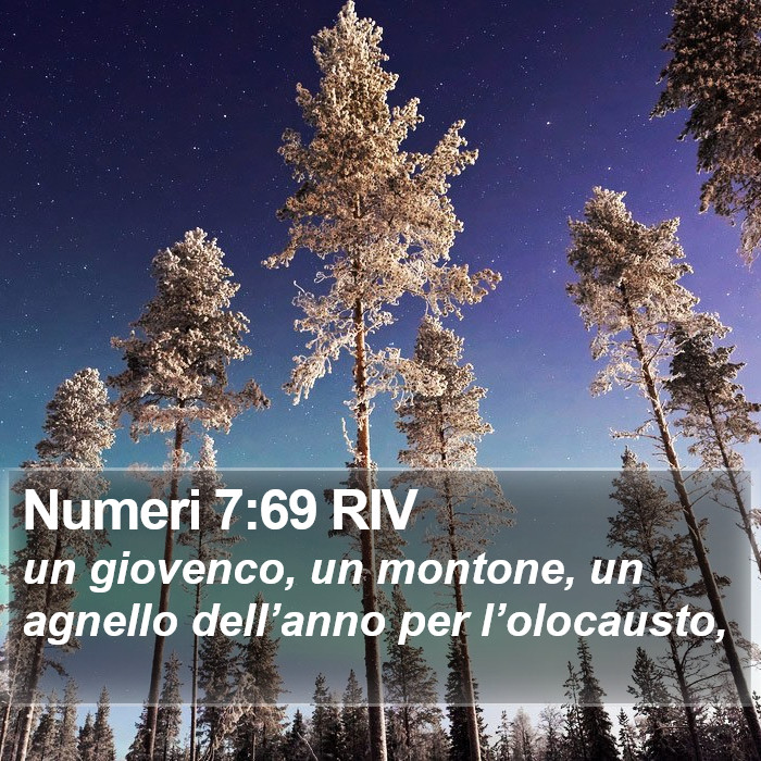 Numeri 7:69 RIV Bible Study