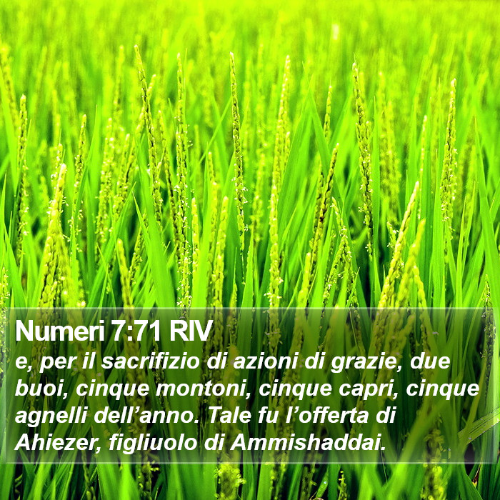 Numeri 7:71 RIV Bible Study