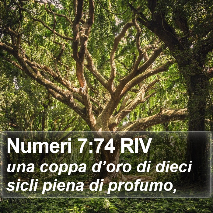 Numeri 7:74 RIV Bible Study