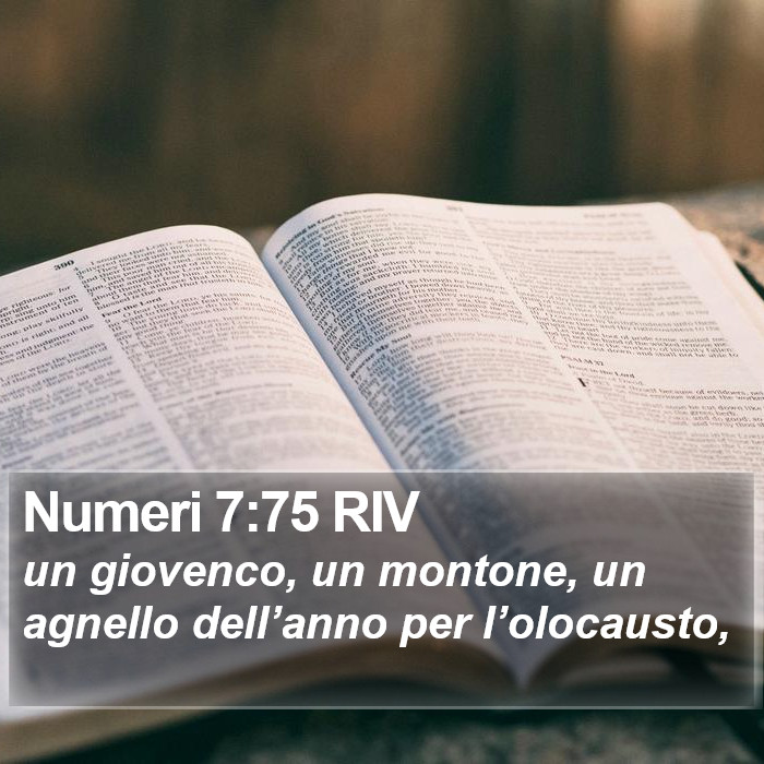 Numeri 7:75 RIV Bible Study