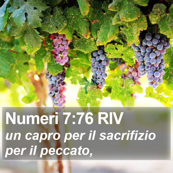 Numeri 7:76 RIV Bible Study