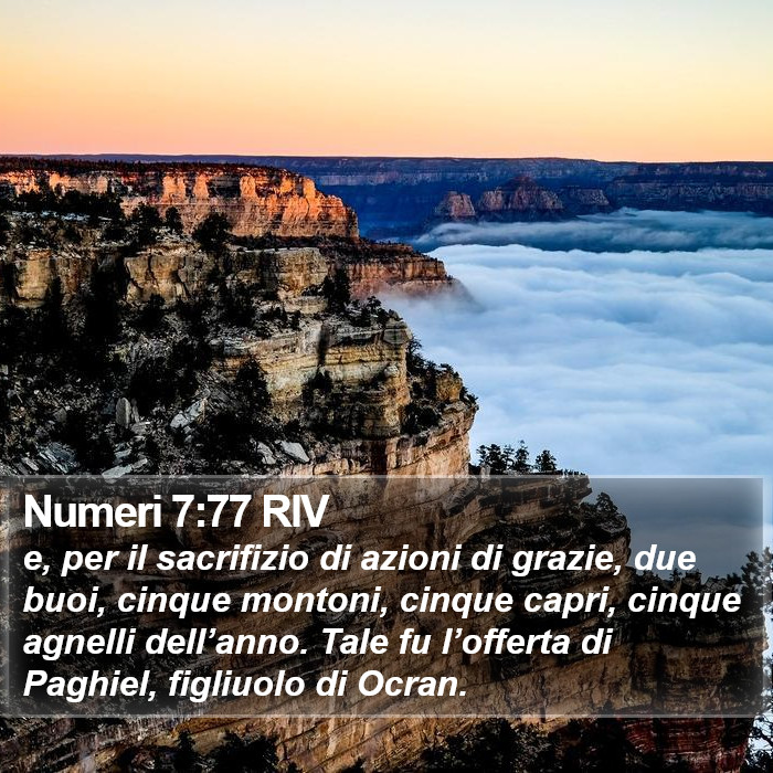 Numeri 7:77 RIV Bible Study