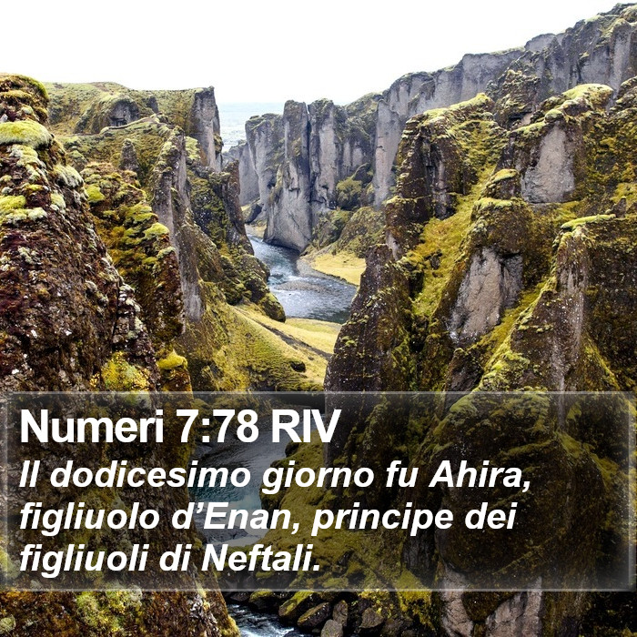 Numeri 7:78 RIV Bible Study