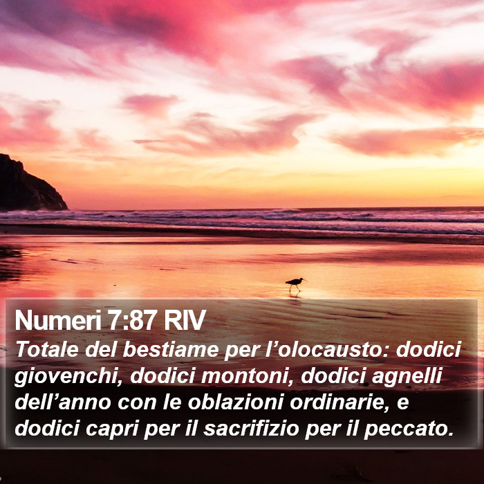 Numeri 7:87 RIV Bible Study