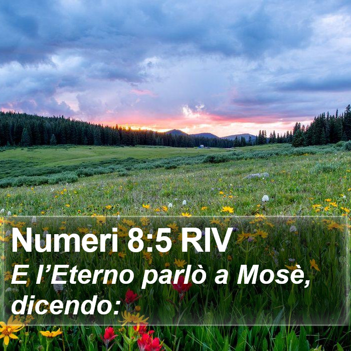 Numeri 8:5 RIV Bible Study