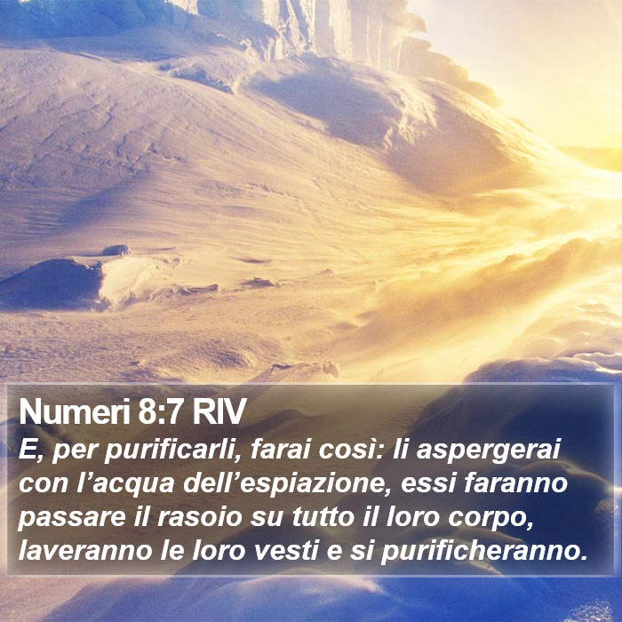 Numeri 8:7 RIV Bible Study