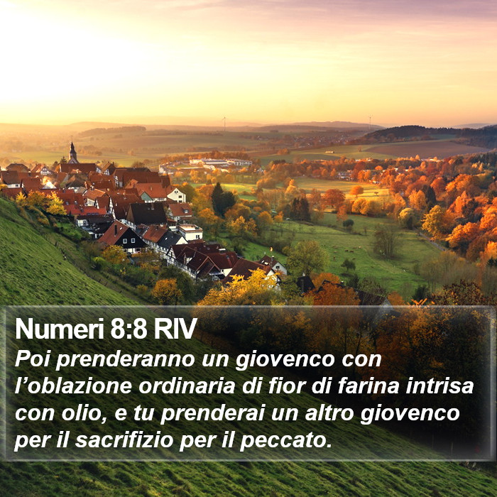 Numeri 8:8 RIV Bible Study