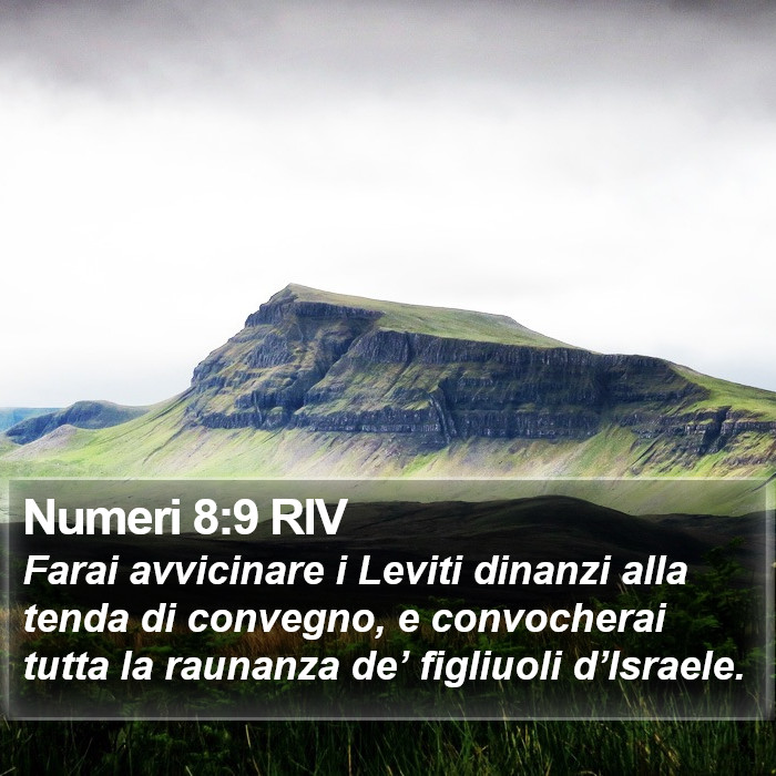 Numeri 8:9 RIV Bible Study