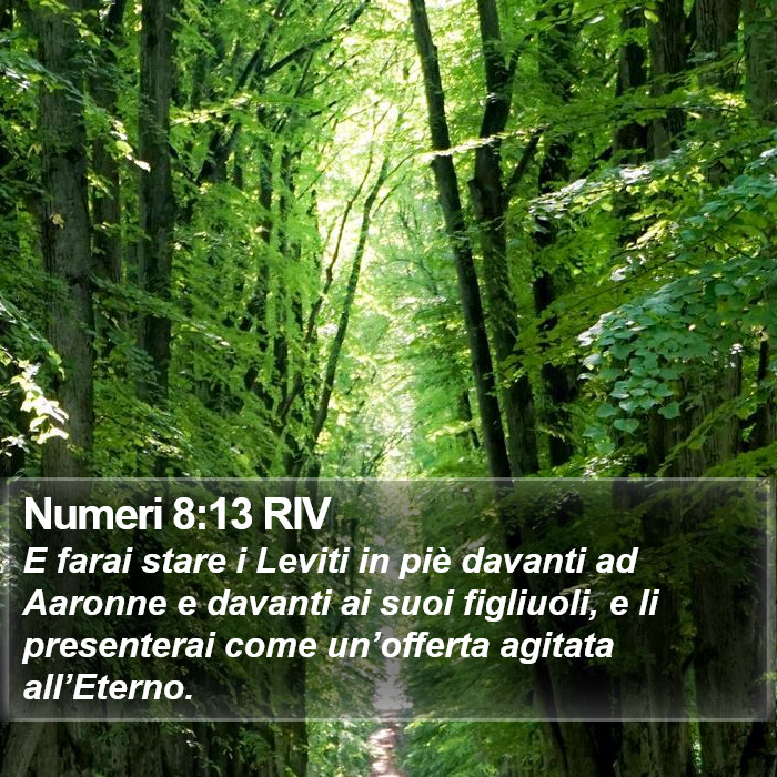 Numeri 8:13 RIV Bible Study