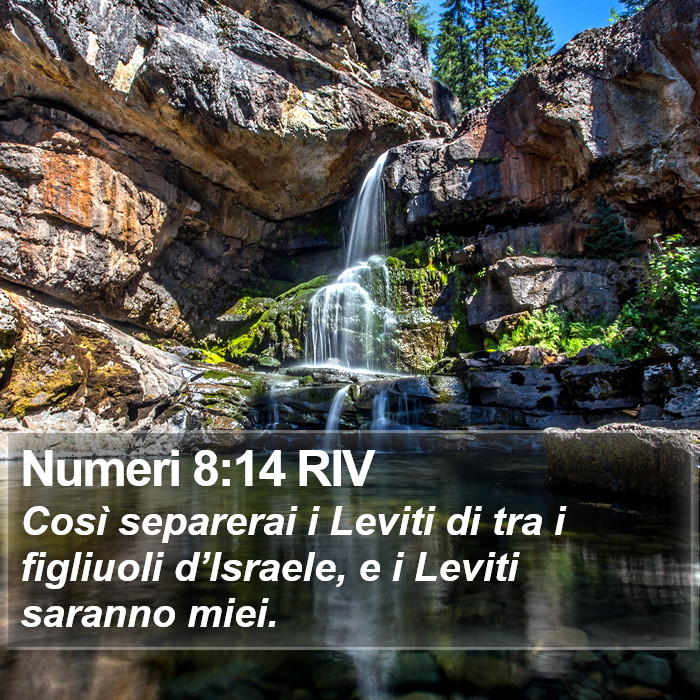 Numeri 8:14 RIV Bible Study