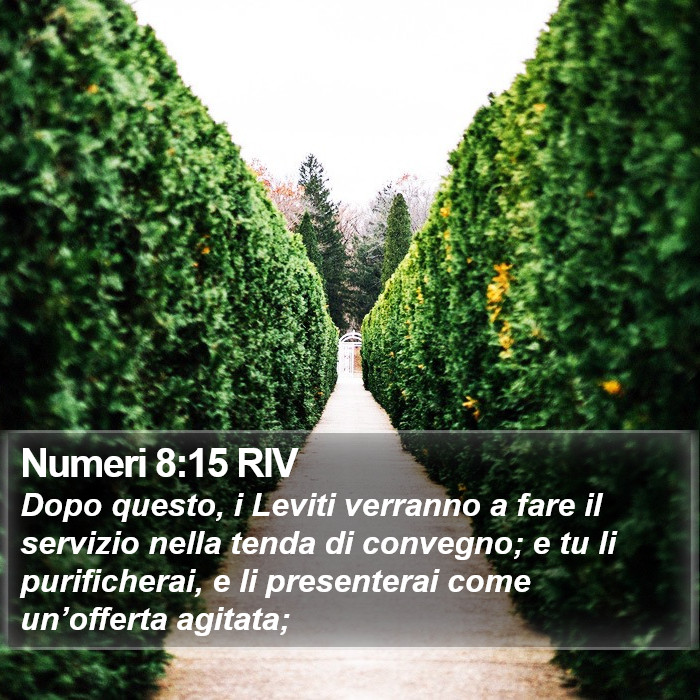 Numeri 8:15 RIV Bible Study