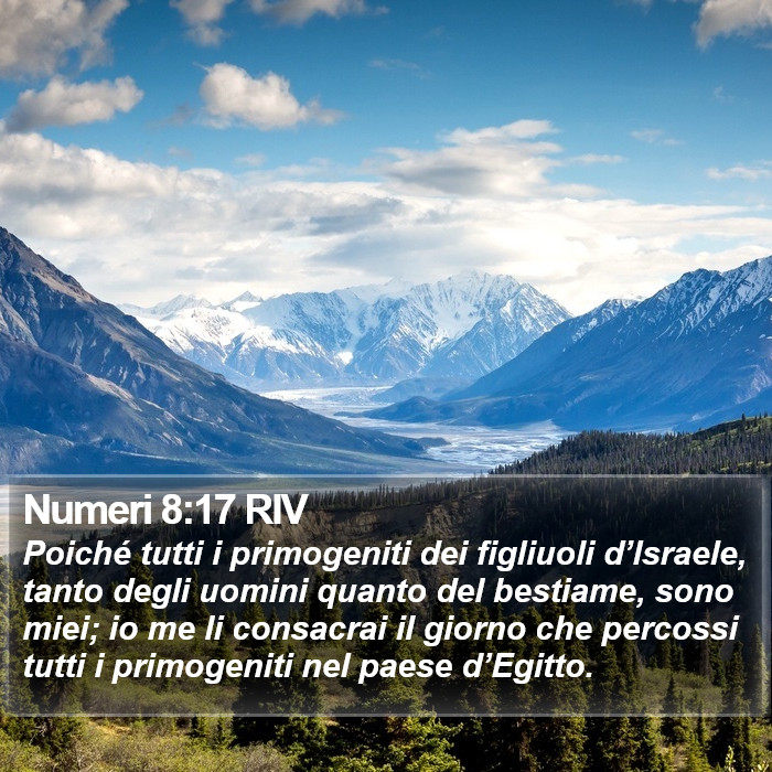 Numeri 8:17 RIV Bible Study