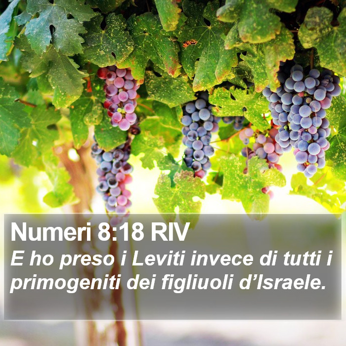 Numeri 8:18 RIV Bible Study