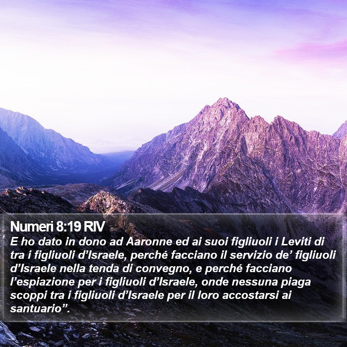 Numeri 8:19 RIV Bible Study