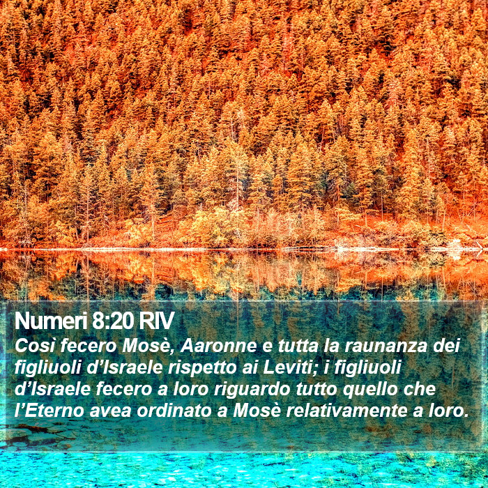 Numeri 8:20 RIV Bible Study