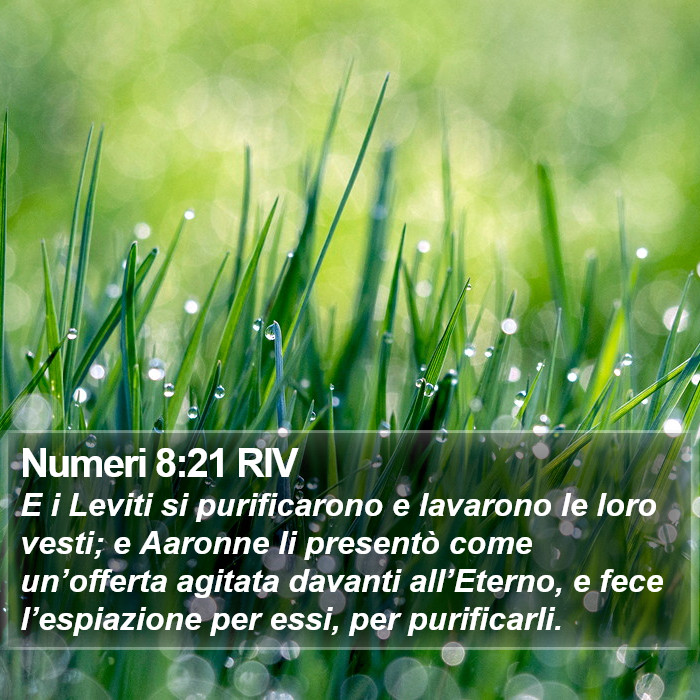 Numeri 8:21 RIV Bible Study