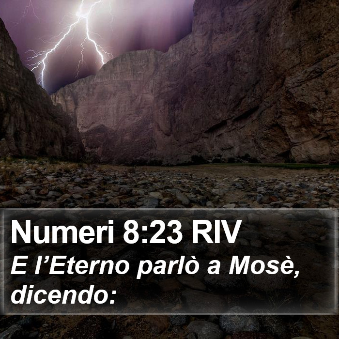Numeri 8:23 RIV Bible Study
