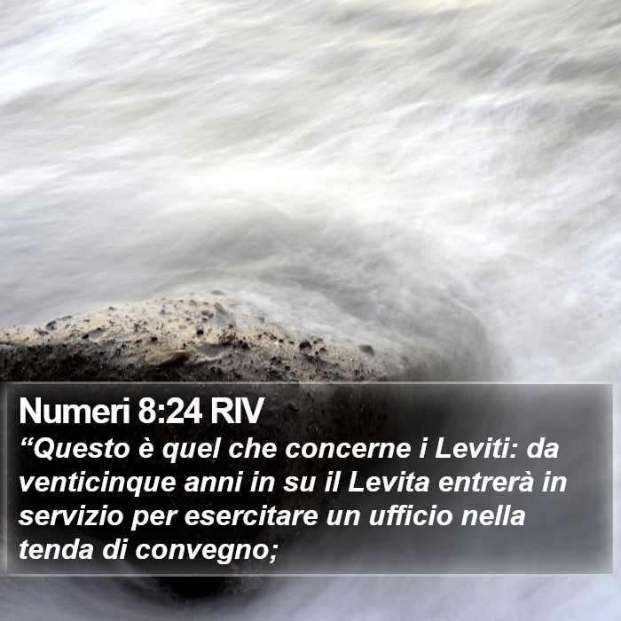 Numeri 8:24 RIV Bible Study