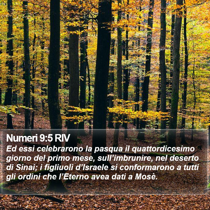 Numeri 9:5 RIV Bible Study