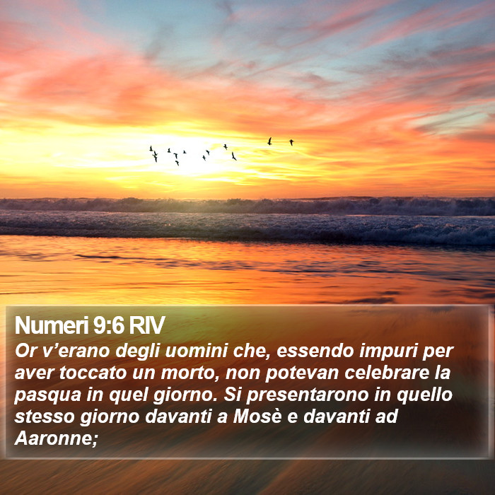 Numeri 9:6 RIV Bible Study