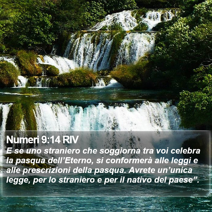 Numeri 9:14 RIV Bible Study