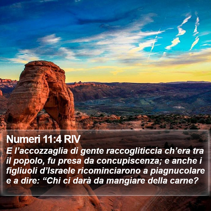 Numeri 11:4 RIV Bible Study