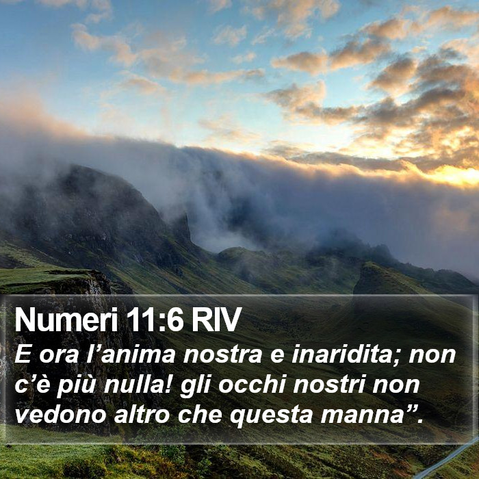 Numeri 11:6 RIV Bible Study