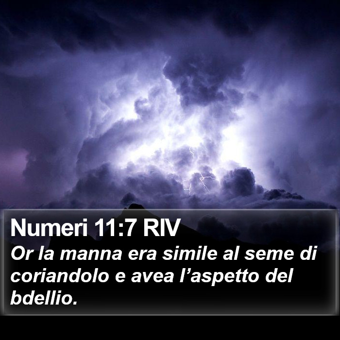 Numeri 11:7 RIV Bible Study